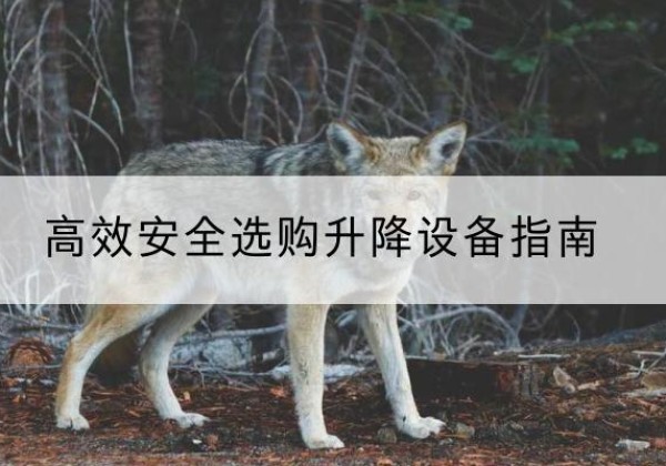 理县升降货梯厂家推荐-*安全选购升降设备指南