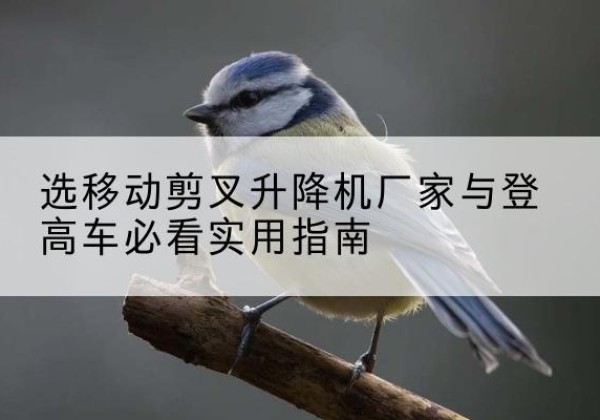 理县电动升降机厂家-选移动剪叉升降机厂家与登高车必看实用指南