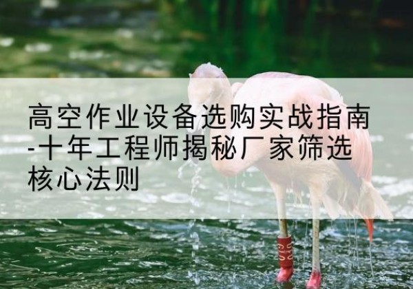 理县剪叉式升降机厂家-高空作业设备选购实战指南-十年工程师揭秘厂家筛选核心法则